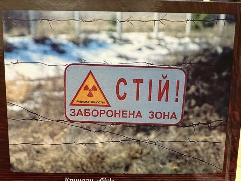 «Гірчить полин чорнобильського лиха…»